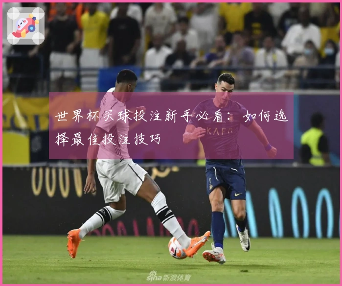 世界杯买球投注新手必看：如何选择最佳投注技巧