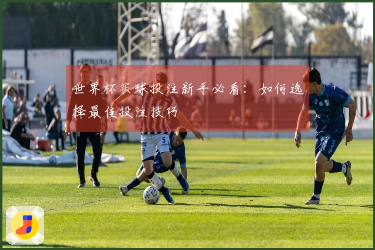 世界杯买球投注新手必看：如何选择最佳投注技巧