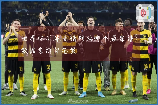 世界杯买球竞猜网站哪个最靠谱?数据告诉你答案