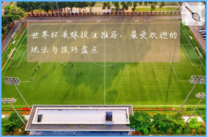 世界杯滚球投注推荐，最受欢迎的玩法与技巧盘点
